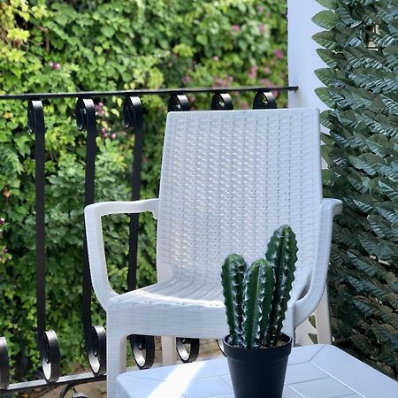 Pàradis B&B Ischia Extérieur photo